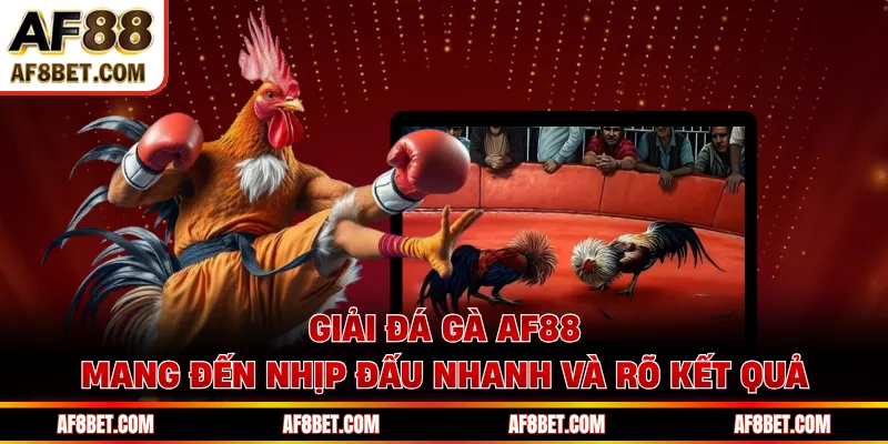 Giải Đá Gà AF88 Cập Nhật Lịch Đấu Dày Đặc Mỗi Tháng Giải đá gà AF88 mang đến nhịp đấu nhanh và rõ kết quả