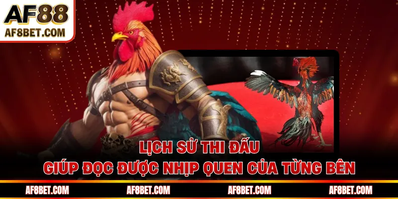 Soi Kèo Đá Gà AF88 Chuẩn Xác Nhờ Cách Nhìn Thực Tế Lịch sử thi đấu giúp đọc được nhịp quen của từng bên