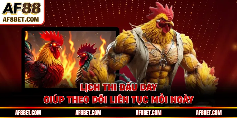 Giải Đá Gà AF88 Cập Nhật Lịch Đấu Dày Đặc Mỗi Tháng Lịch thi đấu dày giúp theo dõi liên tục mỗi ngày