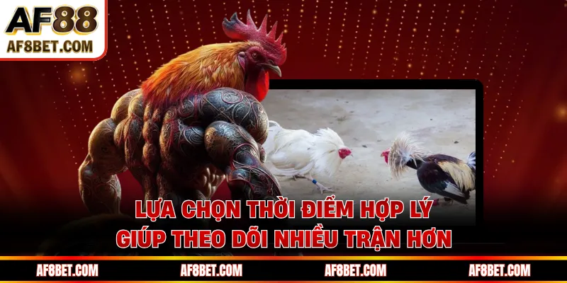 Đá Gà Thomo AF88 Lộ Diện Loạt Trận Kịch Tính Theo Giờ Lựa chọn thời điểm hợp lý giúp theo dõi nhiều trận hơn