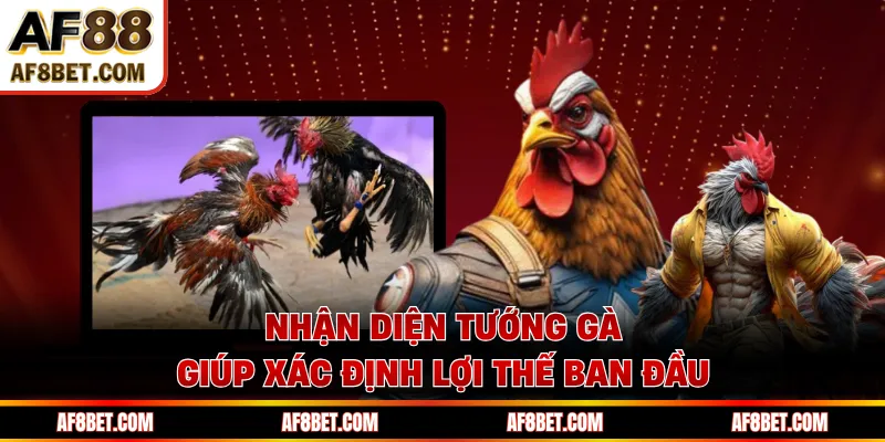 Soi Kèo Đá Gà AF88 Chuẩn Xác Nhờ Cách Nhìn Thực Tế Nhận diện tướng gà giúp xác định lợi thế ban đầu