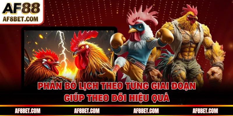 Giải Đá Gà AF88 Cập Nhật Lịch Đấu Dày Đặc Mỗi Tháng Phân bổ lịch theo từng giai đoạn giúp theo dõi hiệu quả