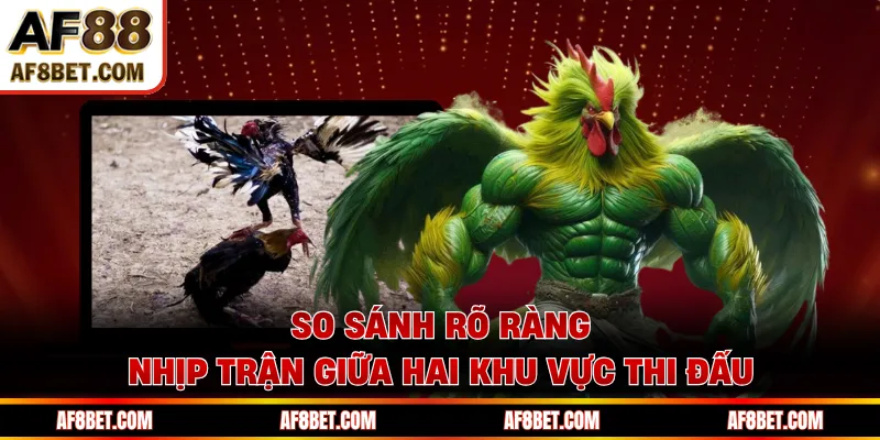 Đá Gà Thomo AF88 Lộ Diện Loạt Trận Kịch Tính Theo Giờ So sánh rõ ràng nhịp trận giữa hai khu vực thi đấu
