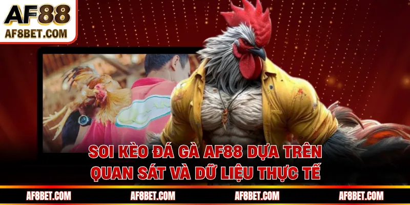 Soi Kèo Đá Gà AF88 Chuẩn Xác Nhờ Cách Nhìn Thực Tế Soi kèo đá gà AF88 dựa trên quan sát và dữ liệu thực tế